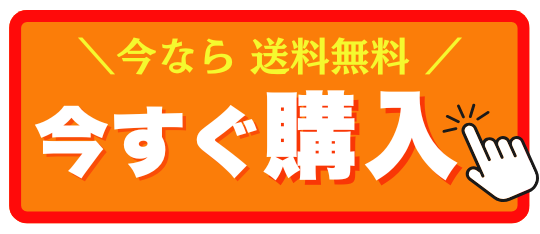 今すぐ購入