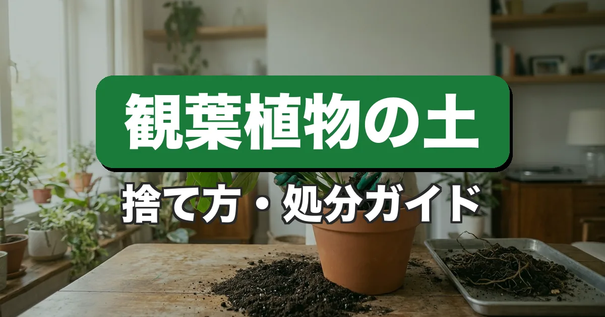 観葉植物の土は何ゴミ？正しい捨て方と処分方法を解説するガイド（宅配回収ツチル）