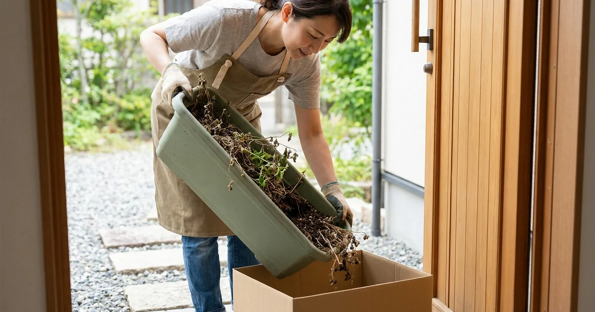 枯れた植物ごと土が入ったままのプランターを、玄関先で段ボール箱に移している女性